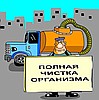 Тест на зашлакованность организма