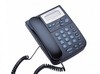 Grandstream Budgetone 101 — BT101