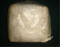 мицелий