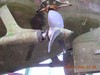 Broken ruder shaft repair, ship repair ukraine