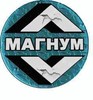 Развиваем дилерскую сеть по продаже электродвигателей ТМ «Магнум»