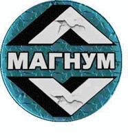 Развиваем дилерскую сеть по продаже электродвигателей ТМ «Магнум»
