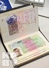 Польская национальная рабочая мультивиза.