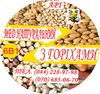 Полезность орехов