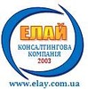 ЕЛАЙ, Консалтинговая компания