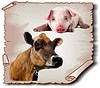 Для чего нужны минеральные и витаминные добавки для животных?