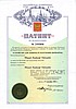 ПАТЕНТ НА ИЗОБРЕТЕНИЕ: НЕЙТРОНИК ( NEITRONIC) — ЗАЩИТА ОТ ЭЛЕКТРОМАГНИТНЫХ  ИЗЛУЧЕНИЙ