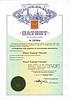 ПАТЕНТ НА ИЗОБРЕТЕНИЕ: НЕЙТРОНИК ( NEITRONIC) — ЗАЩИТА ОТ ЭЛЕКТРОМАГНИТНЫХ ИЗЛУЧЕНИЙ