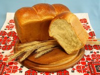 Сайка нежная