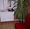 Электроотопление Тепловолновая панель ТВП 300