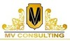 MV CONSULTING