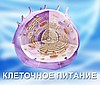 ПОЛНОЦЕННОЕ ПРАВИЛЬНОЕ ПИТАНИЕ, КОД КЛЕТКИ, МАГАЗИН ЗДОРОВОГО ПИТАНИЯ ДЛЯ ЗДОРОВОГО ОБРАЗА ЖИЗНИ