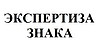 Предварительная экспертиза