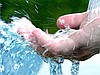 Безопасная вода. Какой она должна быть.