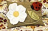 Декоративные подушки